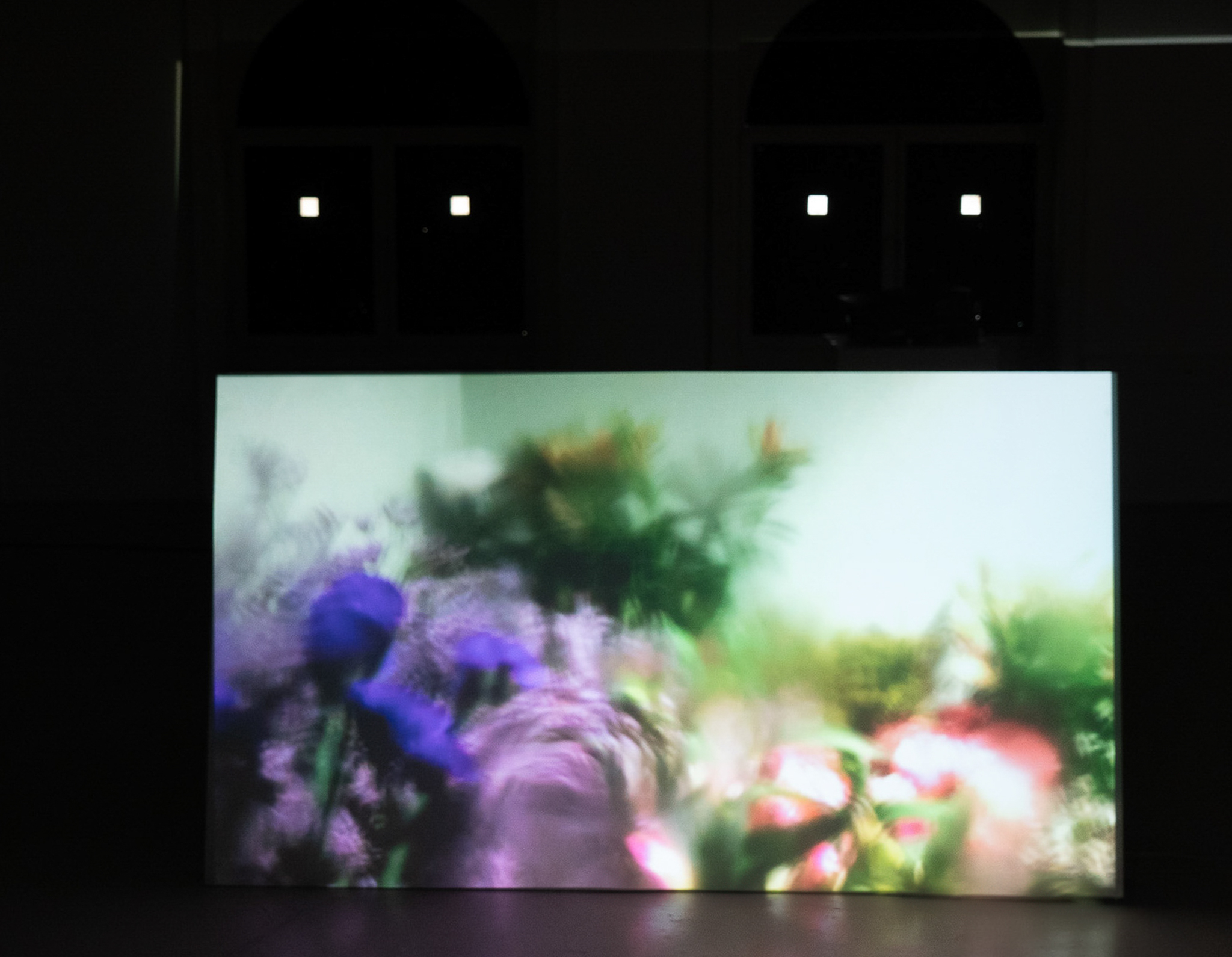 Where are the Songs of Spring?